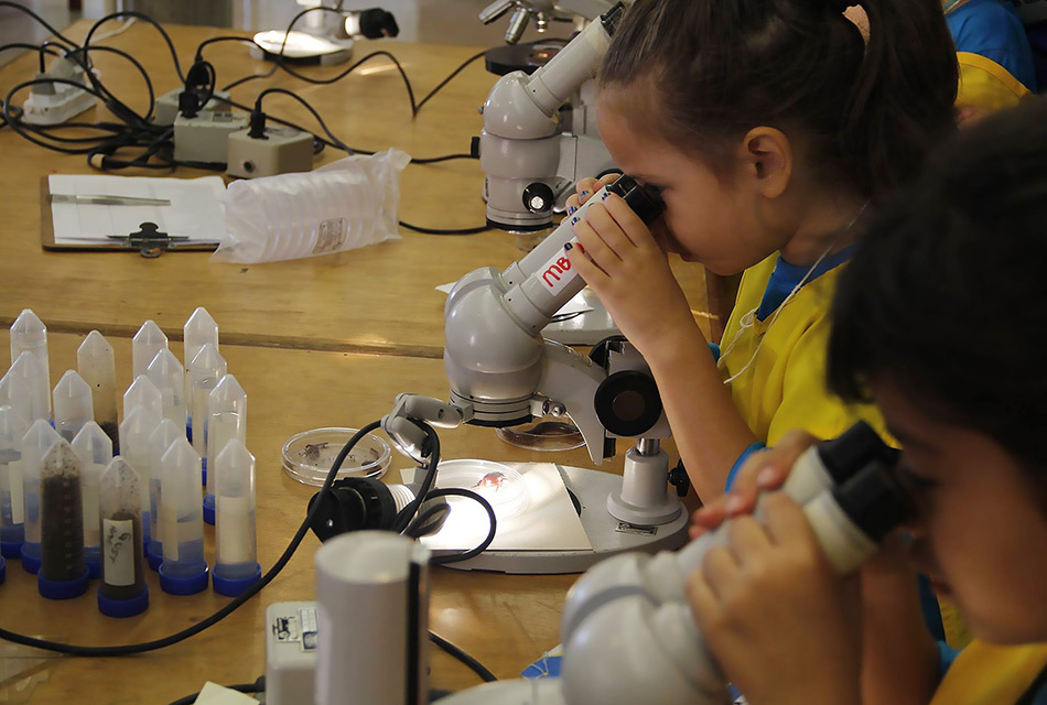 Participantes do Férias no Museu observam microscópio durante oficina