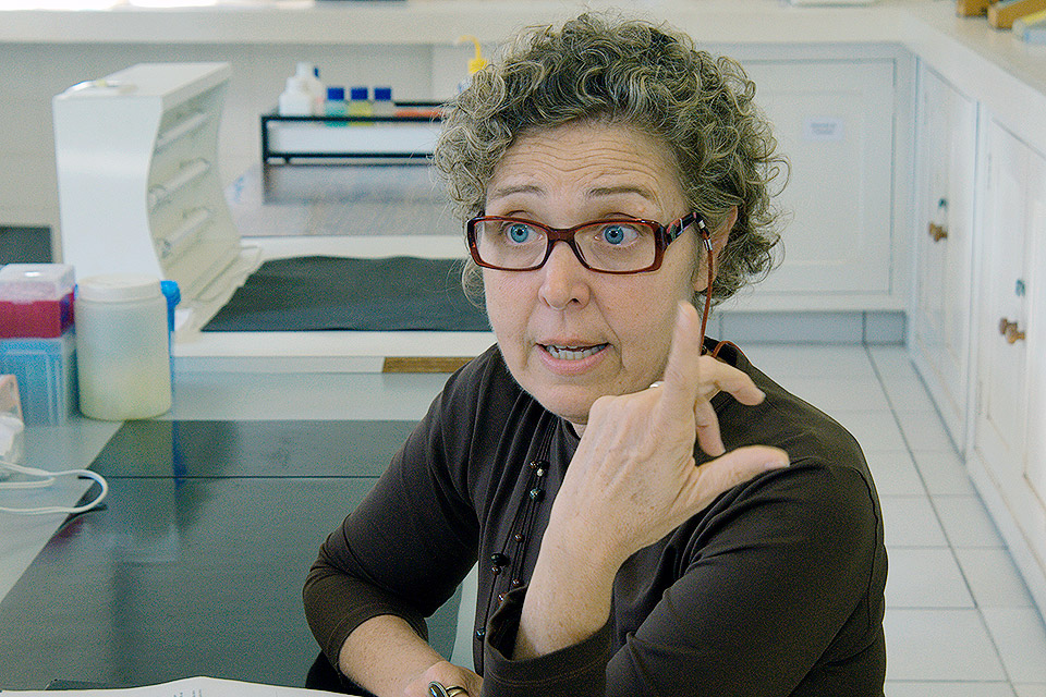 Professora Gisela Umbuzeiro | Foto: Antonio Scarpinetti Professora Gisela Umbuzeiro | Foto: Antonio Scarpinetti