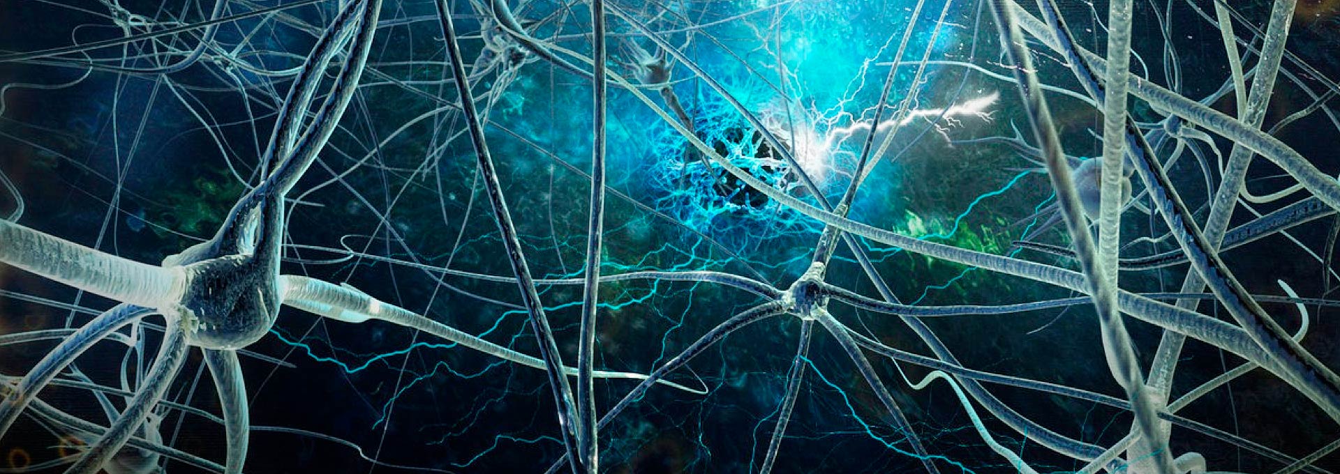 Circuitos neuronais | Foto: Free Images | sxc.hu