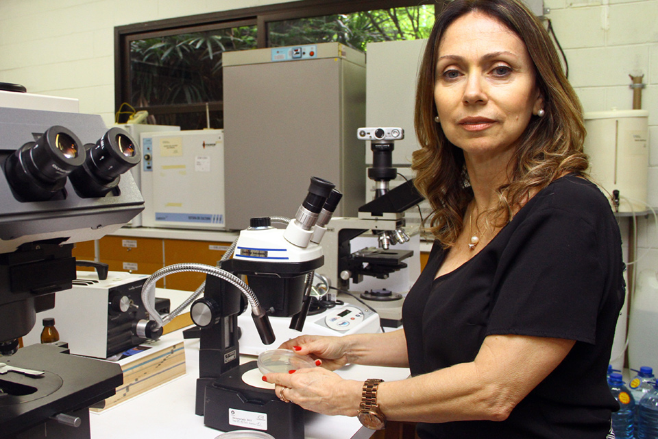 A pesquisadora Marta Cristina Teixeira Duarte, coordenadora dos estudos