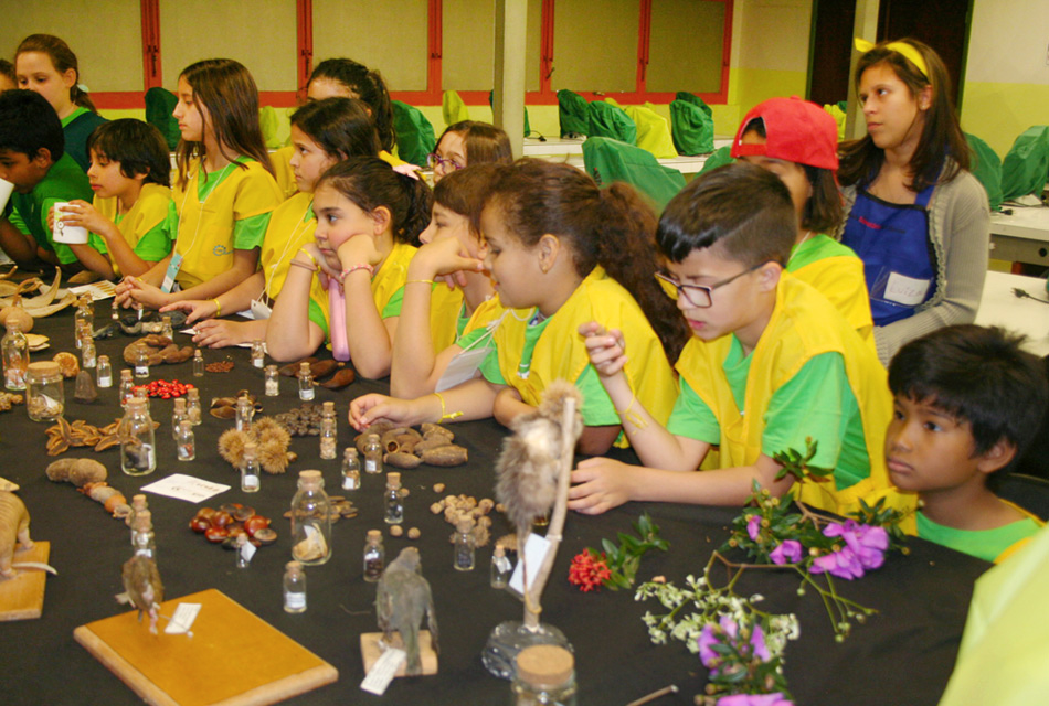 Museu da Unicamp: atividades voltadas principalmente a crianças Museu da Unicamp: atividades voltadas principalmente a crianças