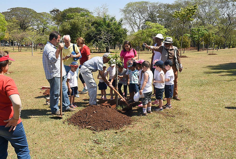 Crianças ajudam a plantar pau-brasil