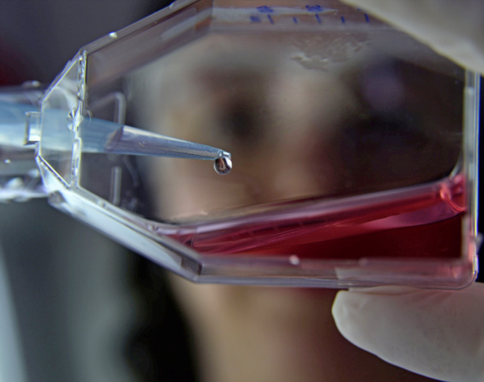 Pesquisadora realiza atividade em laboratório de pesquisa