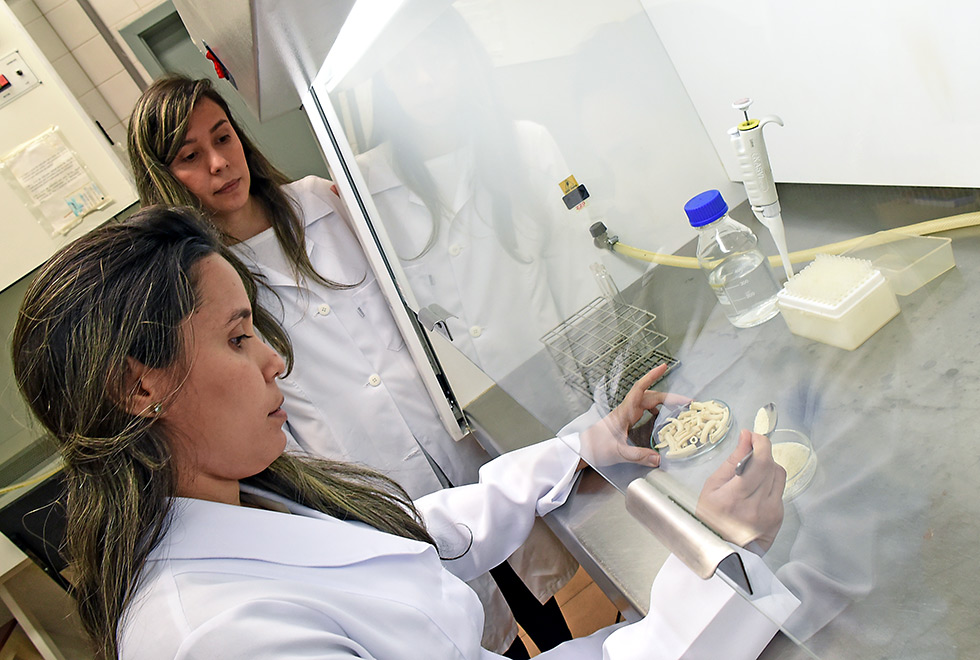 Faculdade quer qualificar ainda mais a formação de recursos humanos Faculdade quer qualificar ainda mais a formação de recursos humanos