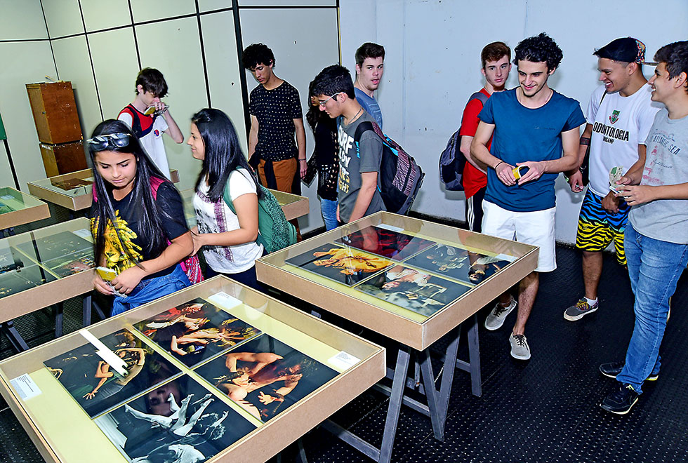 Upeiros visitam exposição durante o evento Upeiros visitam exposição durante o evento
