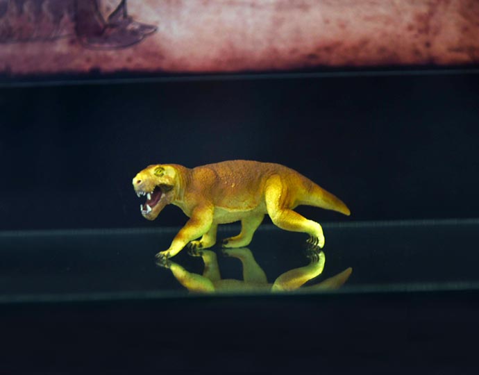 “Dinossauros(?)”. Sim eles estão no Instituto de Geociências. Venha conhecer “Dinossauros(?)”. Sim eles estão no Instituto de Geociências. Venha conhecer