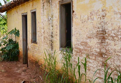 Colonização de vetores no domicílio é um fator de risco para doença de Chagas Colonização de vetores no domicílio é um fator de risco para doença de Chagas