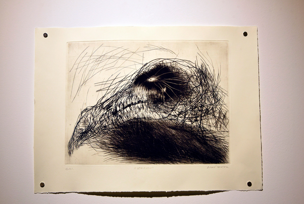 Audiodescrição: fotografia colorida mostra um trabalho artístico exposto na parede da galeria de arte0. A obra é um desenho de pássaro realizado com a técnica de maneira negra e ponta seca, de André Berger. 