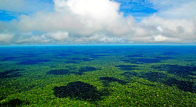 Vista aérea da Floresta Amazônica, perto de Manaus, capital do estado brasileiro do Amazonas. | Foto: Neil Palmer / CIAT - Flickr