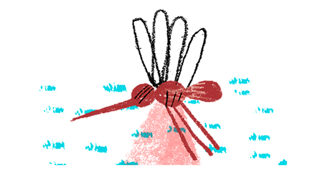 ilustração do pernilongo transmissor da dengue