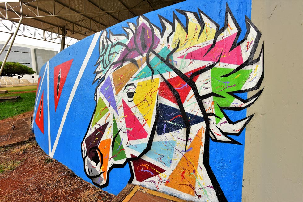 O Instituto de Artes desenvolveu uma proposta para intervenção artística no local, convidando artistas externos à Universidade reconhecidos por seu trabalho em pintura mural e grafite