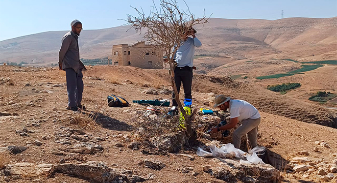 Início do trabalho sistemático em campo; agricultor jordaniano observa equipe 