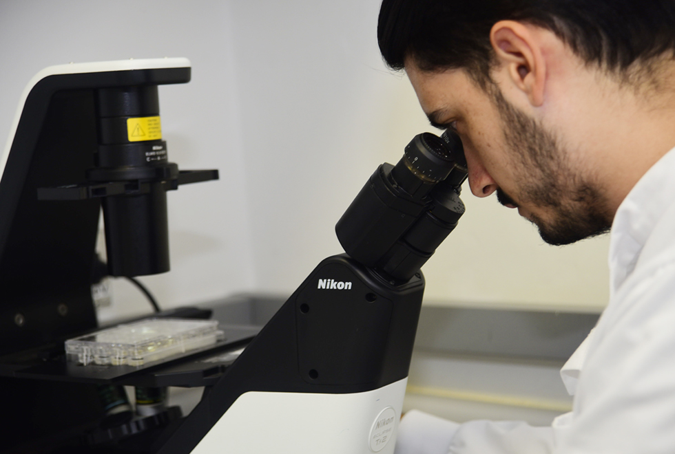 Em laboratório, imagem de perfil e em close-up, homem observa material por meio do visor um grande microscópio que se encontra sobre uma bancada, sendo que ele veste um jaleco branco. Imagem 2 de 5.