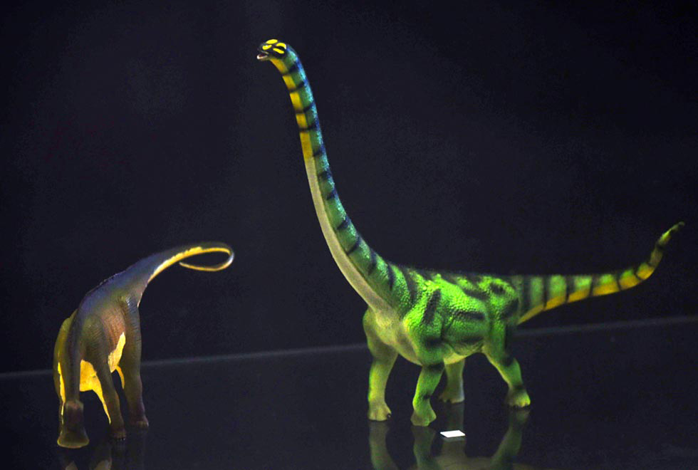 Duas miniaturas de dinossauros, uma à direita, em perfil, com animal de pescoço e calda longos, em tom verde, e outra, à esquerda, de costas na imagem, com menor porte e pescoço. As miniaturas estão sobre uma prateleira de vidro, e todo o fundo da imagem é preto. Imagem 2 de 12.