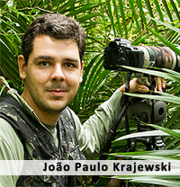 Image result for João Paulo Krajewski pic