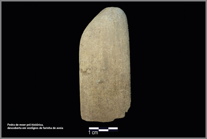Pedra de moer pré-histórica, descoberta em vestígios de farinha de aveia