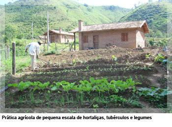 Prática agrícola de pequena escala de hortaliças, tubérculos e legumes