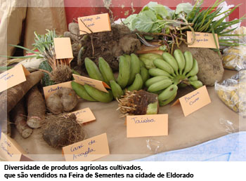Diversidade de produtos agrícolas cultivados, que são vendidos na Feira de Sementes na cidade de Eldorado