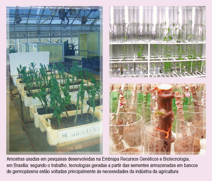 amostras usadas em pesquisas desenvolvidas pela Embrapa Recursos Genéticos e Biotecnologia