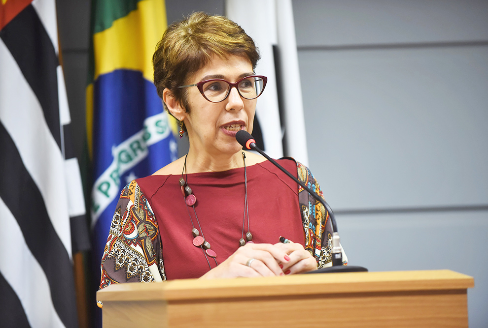 A cientista política Andréia Galvão: “Ficou mais difícil construir alianças entre sindicatos de categorias profissionais diferentes, entre o setor público e o privado”