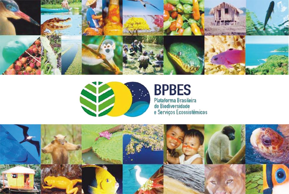 Plataforma Brasileira sobre Biodiversidade e Serviços Ecossistêmicos