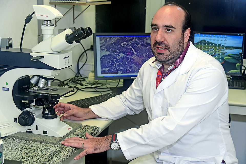 Wagner José Fávaro, orientador do estudo: buscando associações terapêuticas para tumores