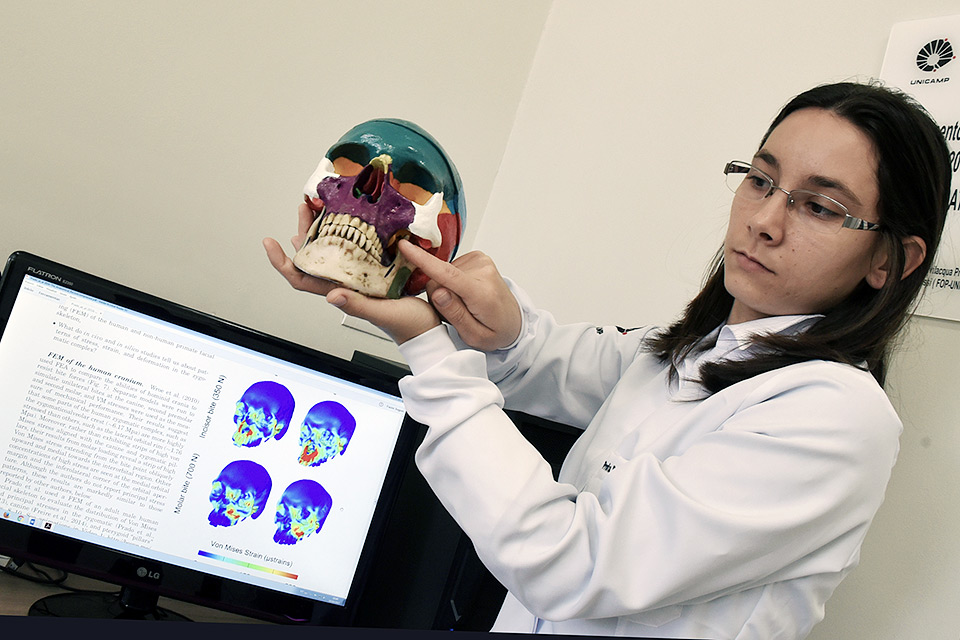 Foto: Antoninho Perri