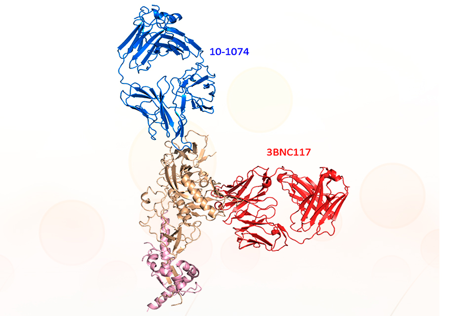 Gristick et al., Nature Structural & Molecular Biology 2016/Divulgação