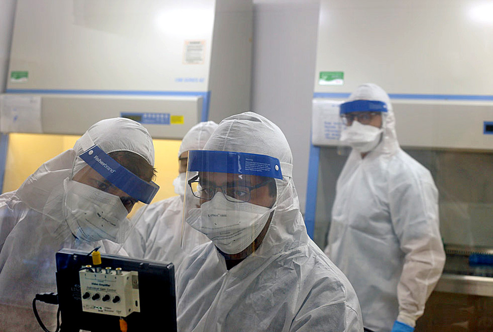 Pesquisadores manipulando coronavírus em laboratório do IB : Um total de 62 cidades foram atendidas