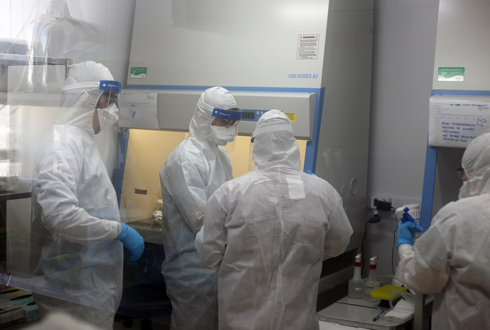 audiodescrição: fotografia colorida mostra cientistas trabalhando em laboratório com o Sars-cov-2
