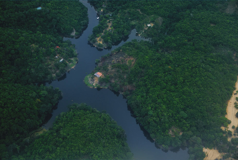 Foto aérea na região de Manaus: Na região amazônica predominam florestas úmidas, com espécies que não possuem adaptações que permitam sobreviver a incêndios frequentes