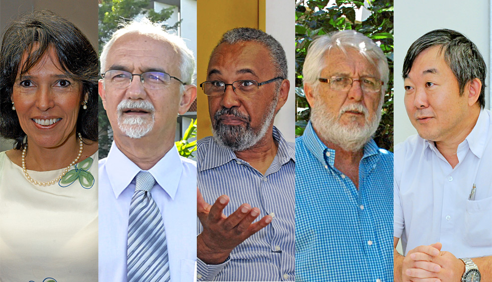 Professores contemplados com a honraria