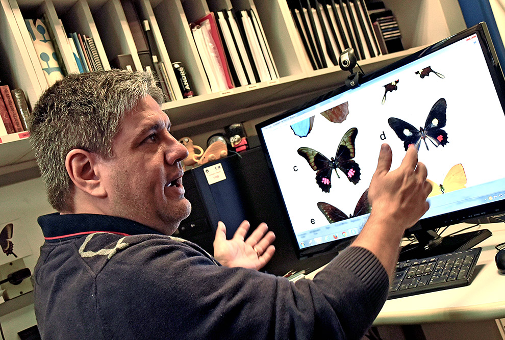 André Victor Lucci Freitas