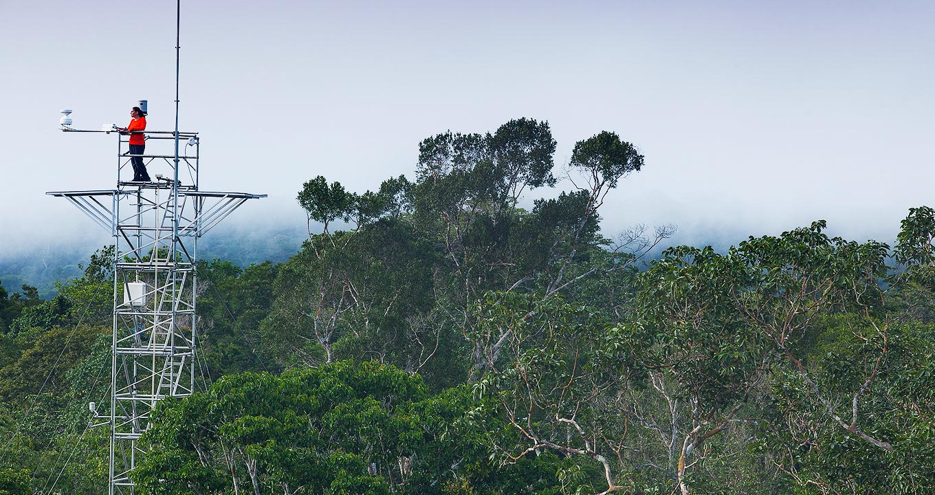 Pesquisadores em campo na floresta Amazônia 