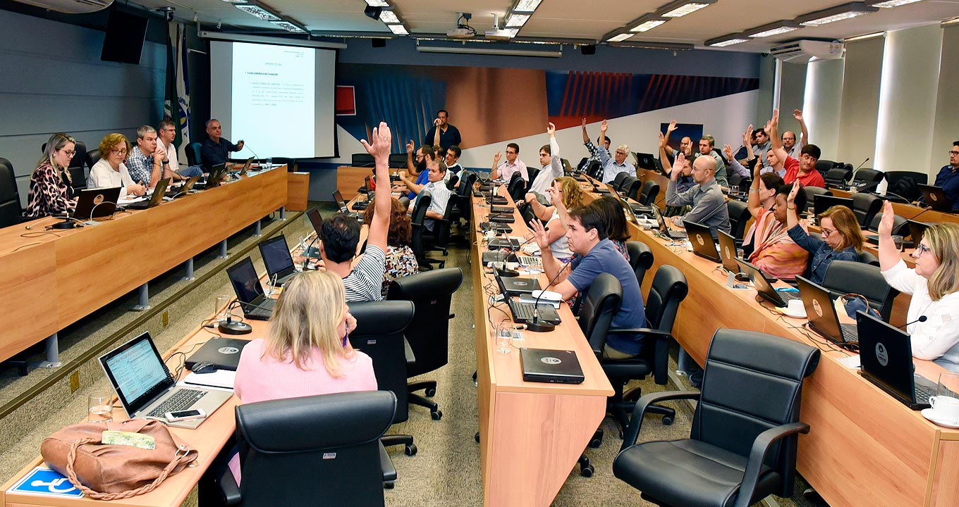 Membros da Comissão Central de Graduação durante a votação da proposta de deliberação: apoio de ampla maioria