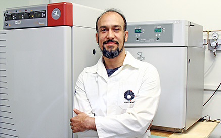 O professor Henrique Marques-Souza, do IB: tecnologia para controlar qualquer praga agrícola