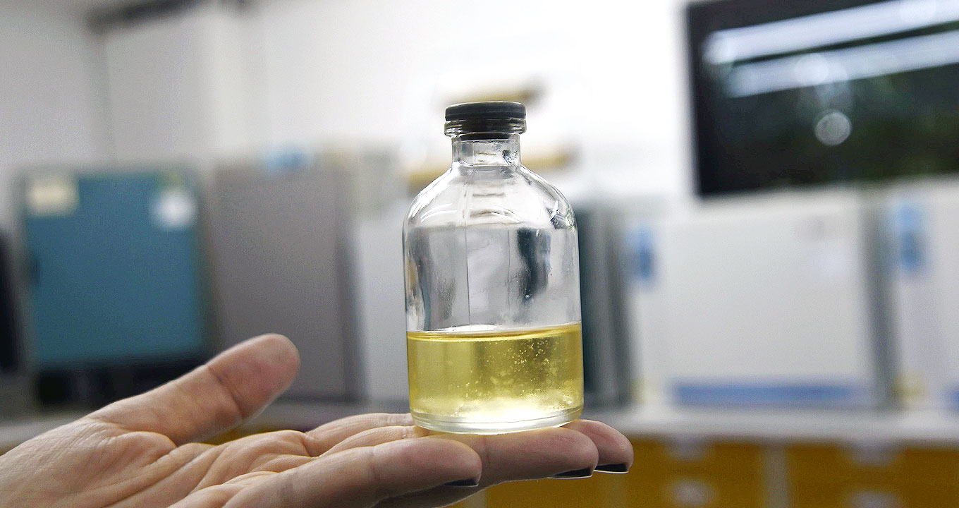 Mistura de óleos essenciais de tomilho e alfavacão | Foto: Antonio Scarpinetti Audiodescrição: Em laboratório, imagem close-up e frontal, frasco de vidro transparente com cerca de dez centímetros de altura por cinco de base, contendo líquido amarelado que ocupa um terço de sua capacidade. O frasco está apoiado sobre as pontas do dedos da mão esquerda de uma pessoa adulta. Imagem 1 de 1.