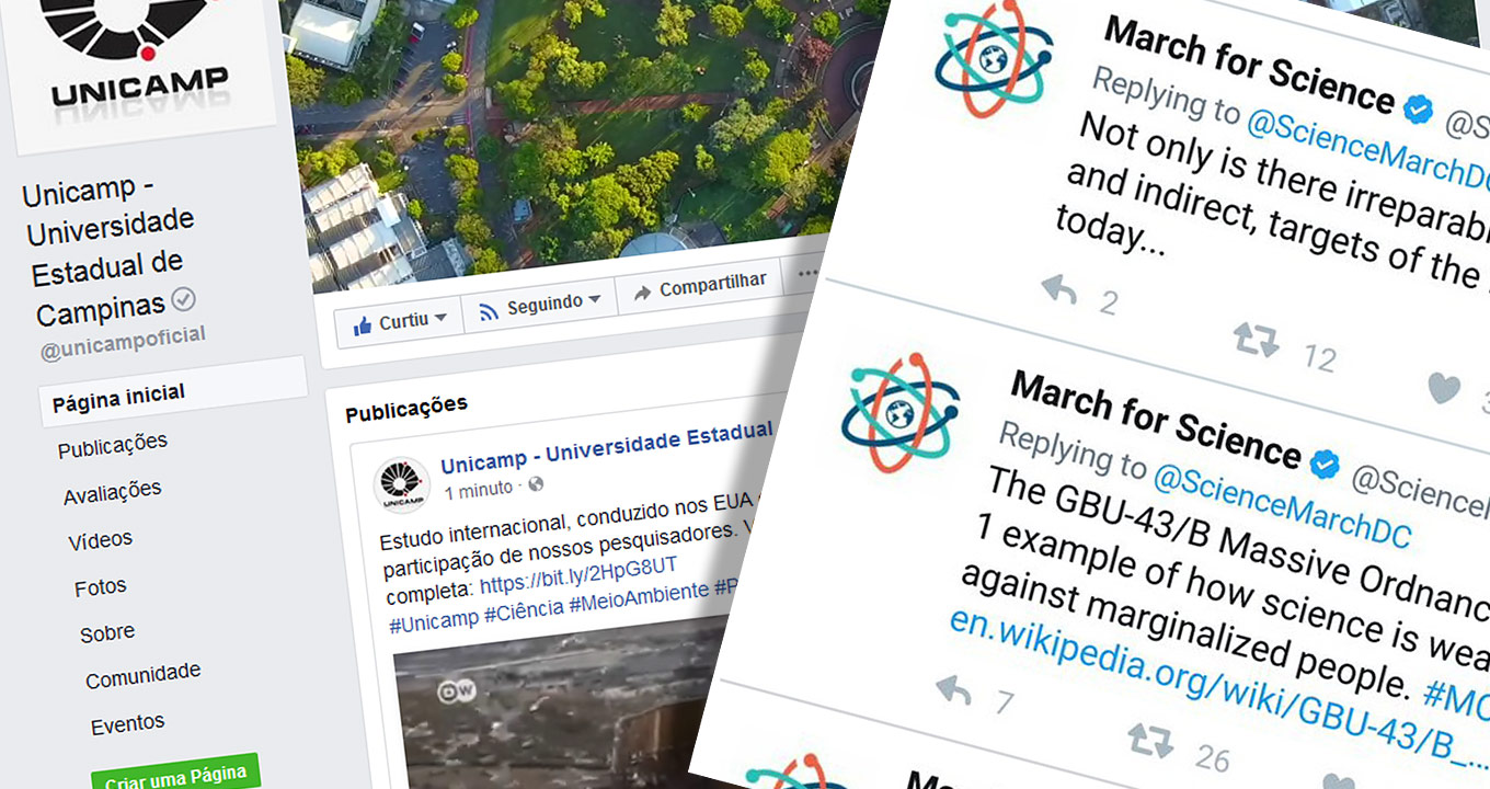 Imagens: Reprodução Imagens: Reprodução