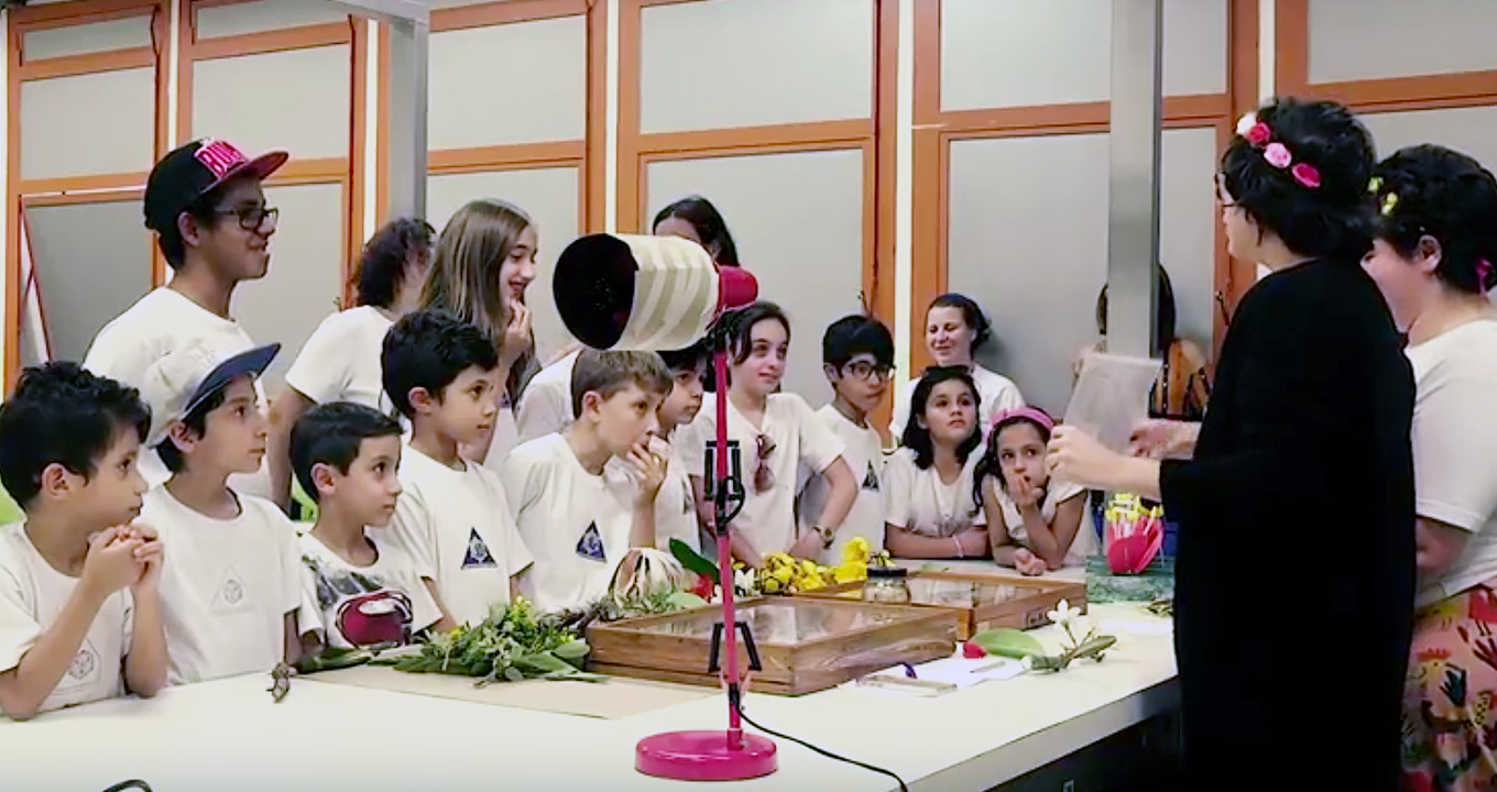 Projeto de extensão do Instituto de Biologia amplia público do Herbário da Unicamp | Imagem: Reprodução Youtube Projeto de extensão do Instituto de Biologia amplia público do Herbário da Unicamp | Imagem: Reprodução Youtube