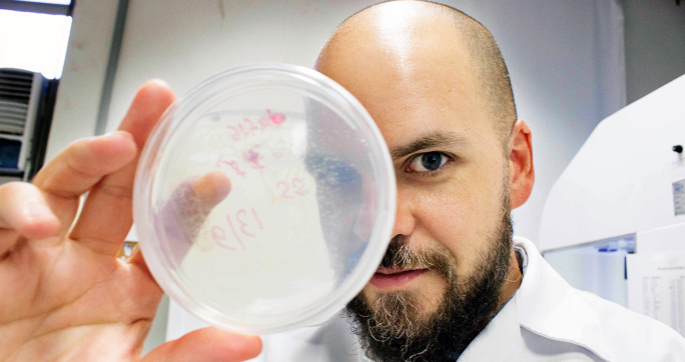 O professor Marcelo Mori, coordenador do Laboratório de Biologia do Envelhecimento, com placa de cultura de Caenorhabditis elegans | Foto: Divulgação Audiodescrição: Em laboratório, imagem frontal e close-up, homem, ao centro na imagem e com olhar voltado para as lentes da câmara fotográfica, segura com a mão direita, que está levantada e projetada para frente, uma placa de cultura com cerca de quinze centímetros de diâmetro, transparente e com números anotados com caneta rosa. Ao fundo, à direita, um equipamento de grande. Imagem 1 de 1.