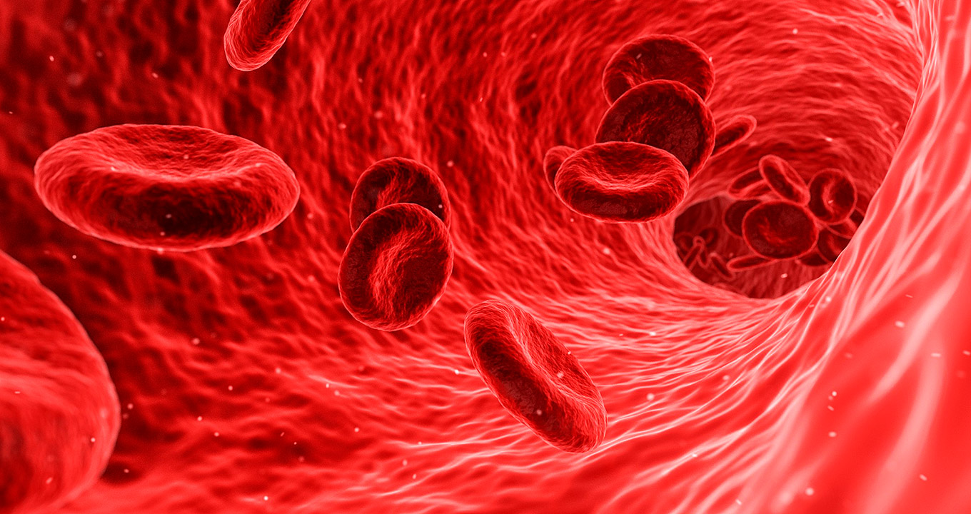 Estudo brasileiro sugere que pessoas com baixo nível da enzima PDIA1 no plasma sanguíneo podem ter maior propensão a trombose. Grupo também investigou o papel da molécula no câncer colorretal | Imagem: pixabay