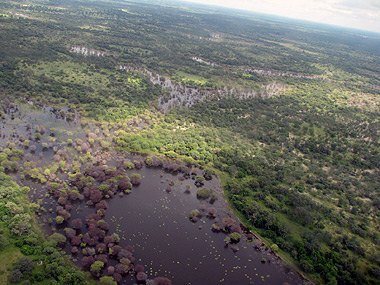 Vista área do Delta do Okavango, que abrange regiões de Angola, Namíbia e Botswana: similaridades entre famílias botânicas (Foto: Divulgação)