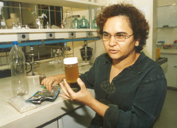 A pesquisadora Rosemary de Assis: amostras têm adesividade maior do que a do produto convencional (Foto: Antoninho Perri)