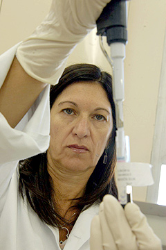 A bióloga e pesquisadora em imunoematologia Lilian Maria de Castilho: poderoso método de auxílio no processo de identificação de anticorpos (Foto: Antoninho Perri)