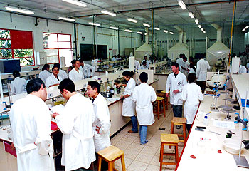Hoje o Instituto possui 1.400 metros quadrados destinados a laboratórios de ensino e 5.700 metros para laboratórios de pesquisa 