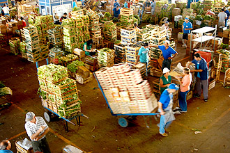 Entreposto da Ceasa-Campinas: danos geram desperdício e reduzem valor comercial dos alimentos