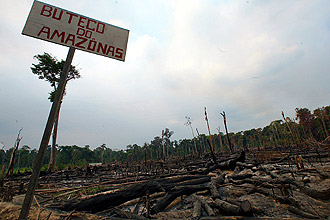 Área desmatada por colonos no município paraense de Tailândia: enquanto lei engessa atividades de cientistas, a devastação avança