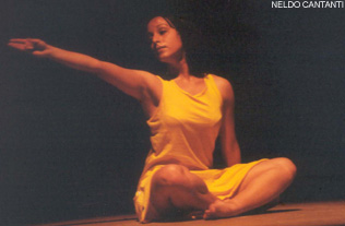 Bailarina em cena: comitê de doze representantes escolhidos dentro e pelo próprio meio artístico