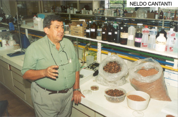 O professor Nelson Horácio Pezoa García: otimização do processamento de sementes