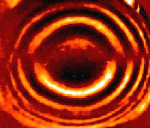 Imagem gerada pela técnica de Moiré em ensaio de compressão diametral de laranja (Fotos: Divulagação)